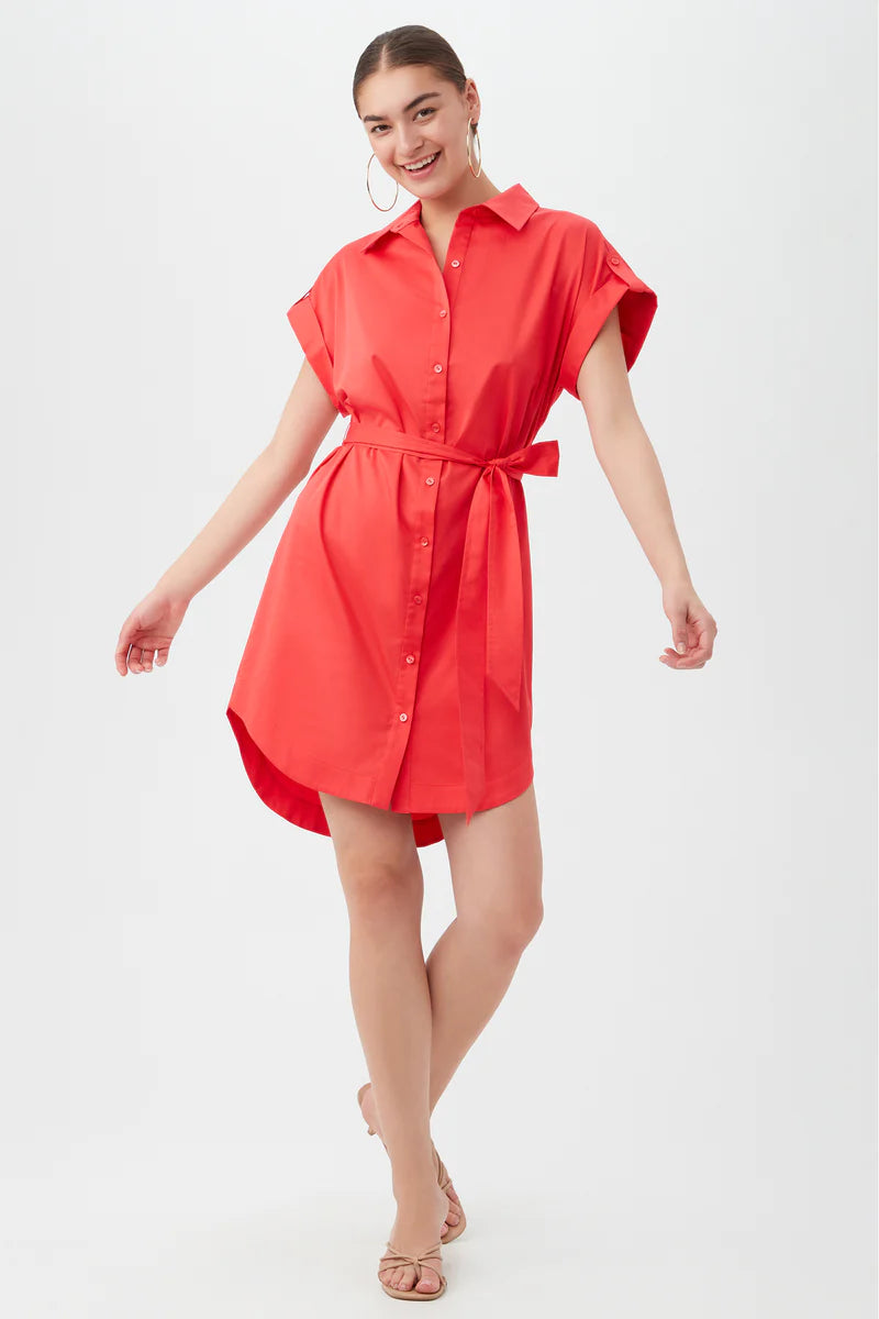 Closeout party dressSIMPATICO DRESS